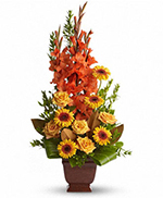 Teleflora's Sentimental Dreams Teleflora's Sentimental Dreams